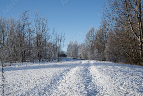 Obraz na płótnie Winter landscape of snow covered ground and melting hoar frost, Twizel, South Island w salonie