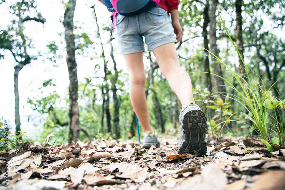 Young person hiking female walking on top rock, Backpack woman looking at beautiful mountain valley at sunlight in summer, Landscape with sport girl, high hills, forest, sky. Travel and tourism. Young person hiking female walking on top rock, Backpack woman looking at beautiful mountain valley at sunlight in summer, Landscape with sport girl, high hills, forest, sky. Travel and tourism.
