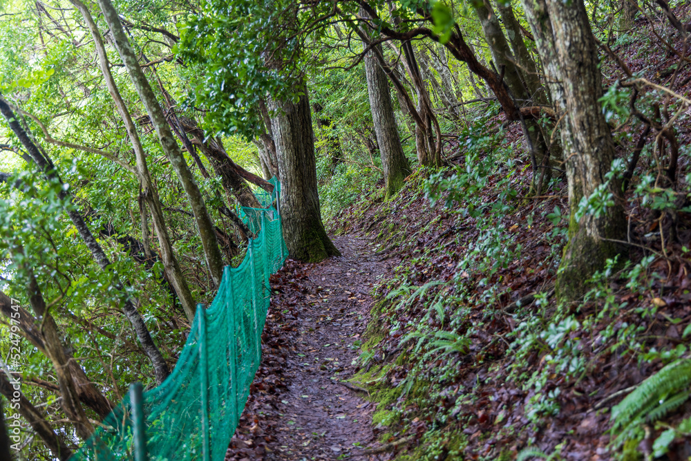 Obraz premium 日本の岡山県新見市の鯉が窪の美しい風景