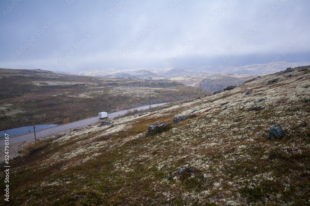 Tundra (moss field) in winter season, Terabika, Murmansk, Russia