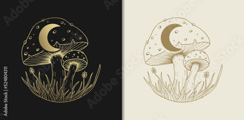 Russula aurea mushroom or fungus with crescent moon