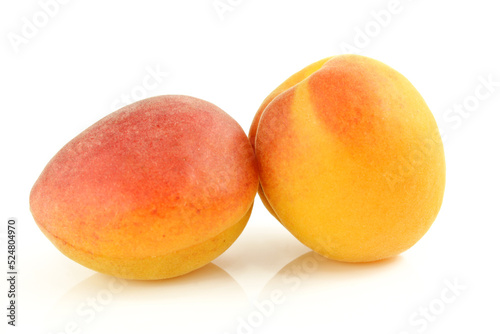 Two whole apricots isolated on white background