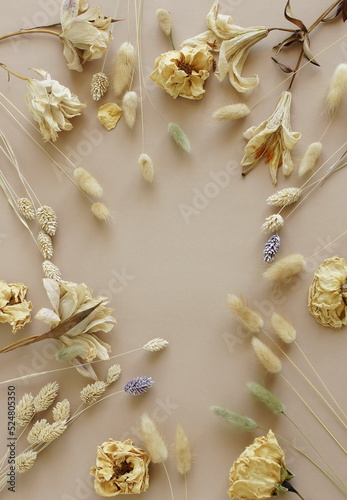 Dry flowers composition top view on beige background with copy space.