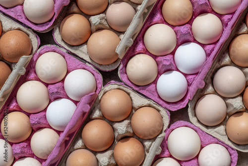 Open egg box with fresh organic multi colored eggs in carton cardboard packs or containers. Small farm in the countryside. Bio eggs in cell egg tray