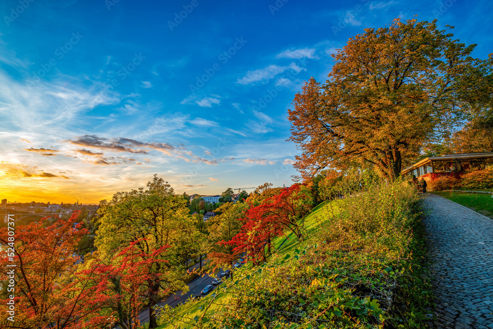 Obraz premium Picturesque alley on top of the hill in Rosengarten (Rose Garden) in center of Bern, Switzerland. Yellowed trees on hillside illuminated by sunset at autumn evening