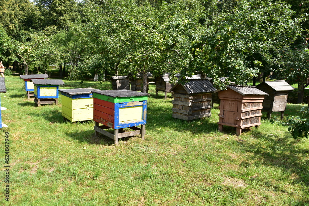 ule, pasieka, wieś, skansen, drewna, barć, pszczelarstwo, ule, pasieka, wieś, skansen, drewna, barć, pszczelarstwo,