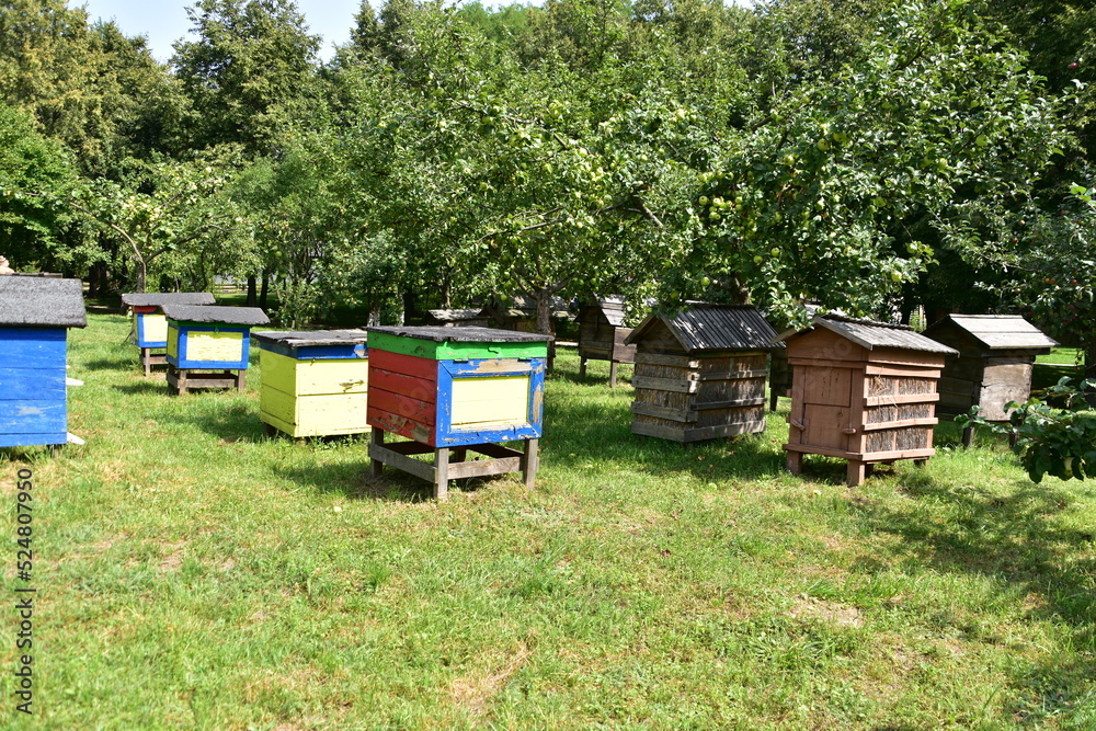 ule, pasieka, wieś, skansen, drewna, barć, pszczelarstwo,