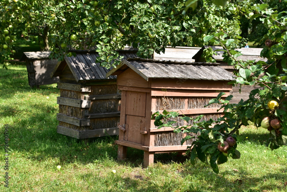 ule, pasieka, wieś, skansen, drewna, barć, pszczelarstwo, ule, pasieka, wieś, skansen, drewna, barć, pszczelarstwo,