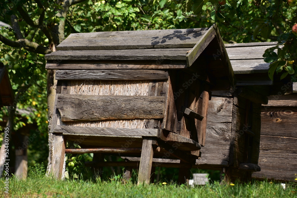 ule, pasieka, wieś, skansen, drewna, barć, pszczelarstwo, ule, pasieka, wieś, skansen, drewna, barć, pszczelarstwo,
