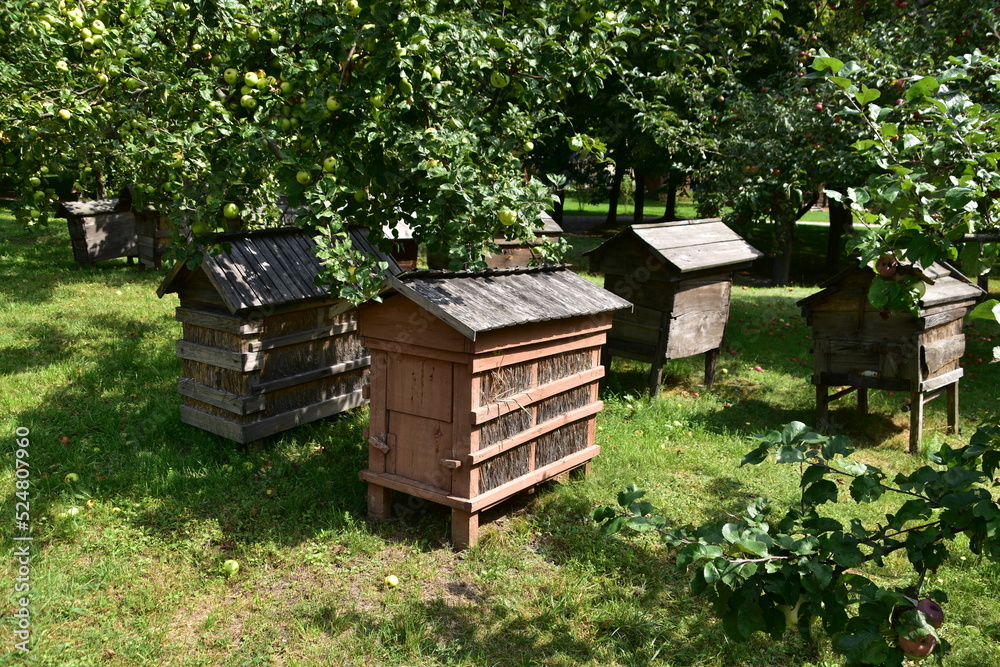ule, pasieka, wieś, skansen, drewna, barć, pszczelarstwo, 