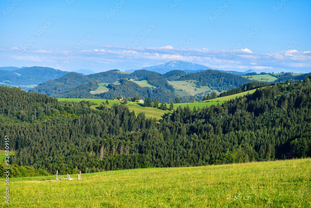 Hügellandschaft Ötscherland