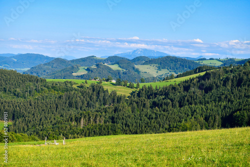 Hügellandschaft Ötscherland