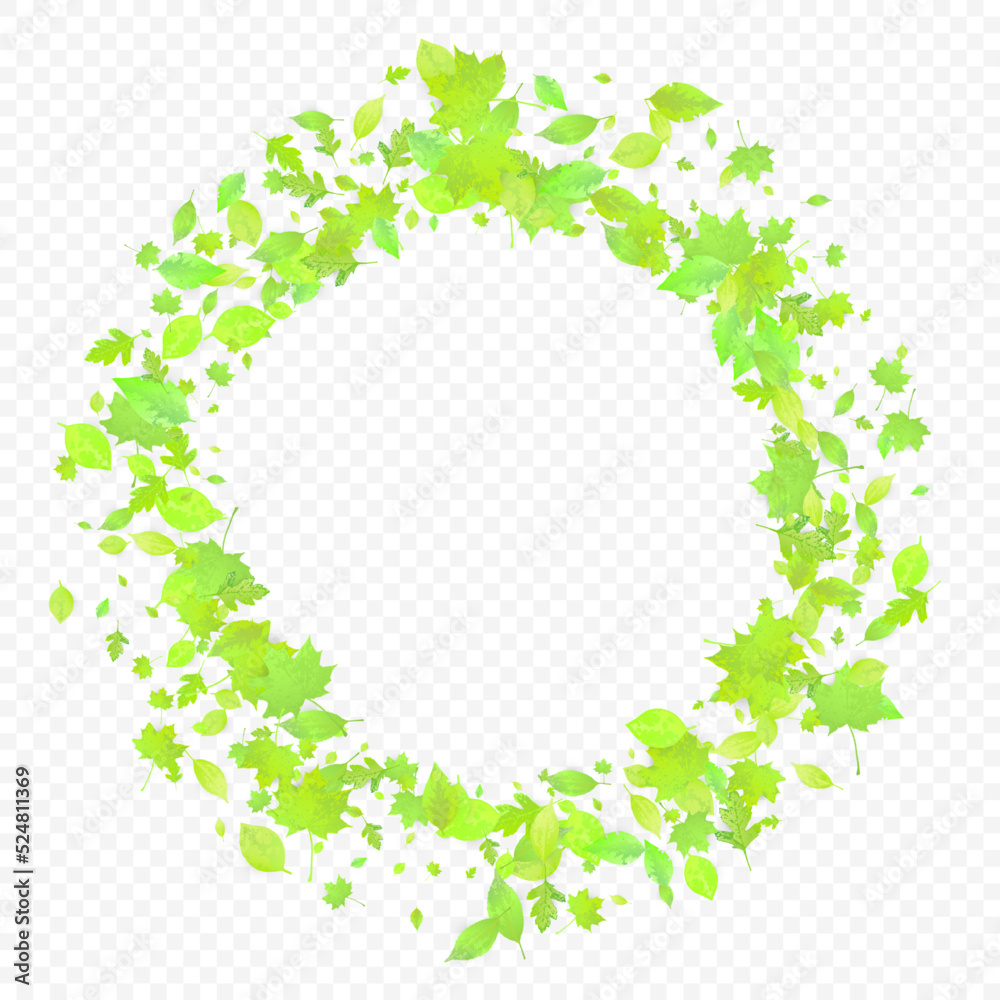 Leaves Falling Spring Flying Foliage Green Leaf Leaves Falling Spring Flying Foliage Green Leaf