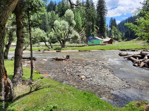 Wallpaper Mural Natural beauty and wildlife of Kashmir Pakistan Torontodigital.ca