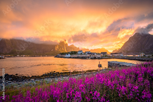 Reine Lofoten