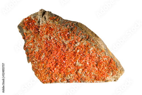 A sample of a natural mineral Crocoite (chromate class) brush orange prismatic crystals on berezit mineral, red chrome ore, lead chromate. Museum Mineral Series. Mineralogical sample on white photo
