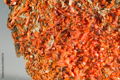 A sample of a natural mineral Crocoite (chromate class) brush orange prismatic crystals on berezit mineral, red chrome ore, lead chromate. Museum Mineral Series. Mineralogical sample photo