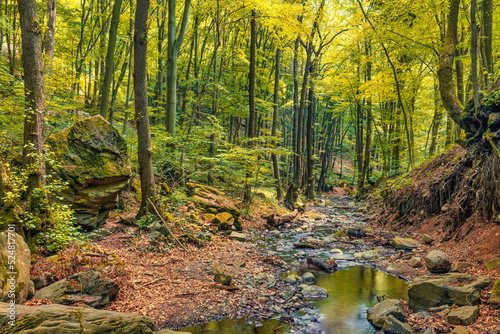 Autumn creek woodland with sunny yellow trees foliage rocks in forest mountain. Idyllic travel hiking landscape, beautiful seasonal autumn nature. Amazing dream scenic colorful outdoor inspire nature