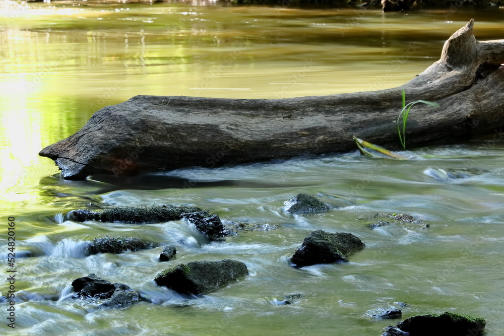 Kamienie rzeczne i konar drzewa w rzece.
River stones and tree limb in the river. - obrazy, fototapety, plakaty 