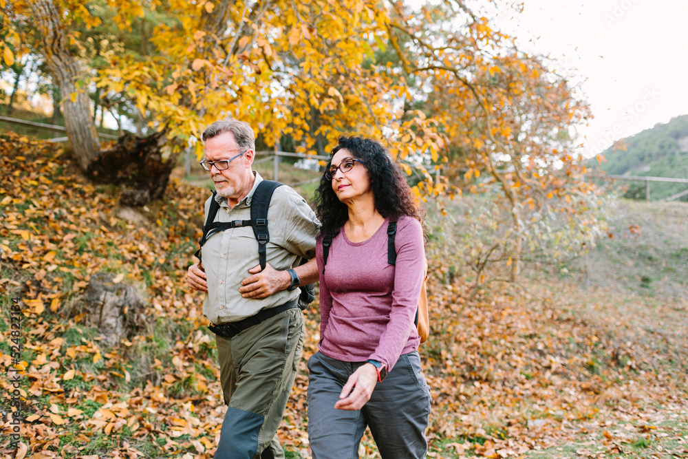 Senior couple walking in sunny autumn park Senior couple walking in sunny autumn park