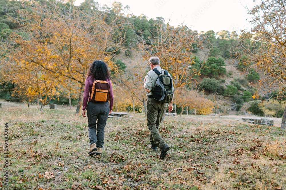 Anonymous senior couple walking in sunny autumn park Anonymous senior couple walking in sunny autumn park