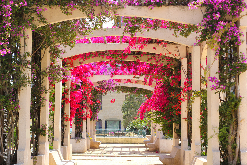 Fototapeta premium flowered kiosk in de gaulle square in ajaccio, Corsica