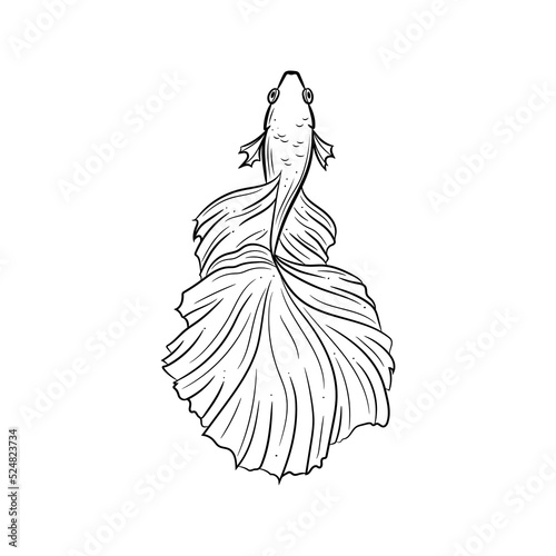 Line art illustration of a siamese fighting fish also known as betta fish