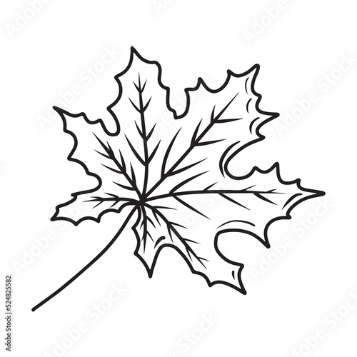 Maple leaf in black sketch hand drawn illustration isolated on white background. Autumn falling leaves concept. Vector drawing in doodle line style. Tree falling leaf design, nature