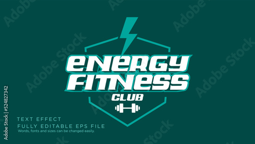 Energy Fitness Logo Text Effect Font Type
