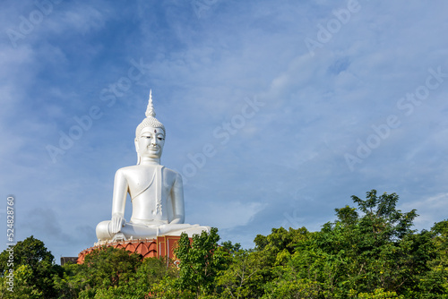 Giant Buddha in the Temple Wat Phu Manorom, Mukdahan province, Thailand.