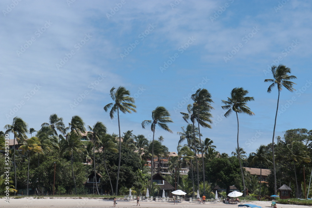 igrejinha da praia de Carneiros igrejinha da praia de Carneiros