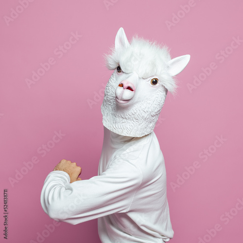 Man with white lama head on bright pink studio wall background photo