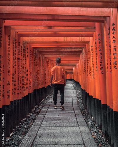 Fototapeta a tourist walking through the famous torii gates of the Fushimi Inari Shrine in