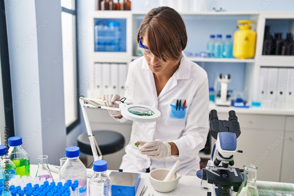 Young beautiful hispanic woman scientist using loupe at laboratory Young beautiful hispanic woman scientist using loupe at laboratory