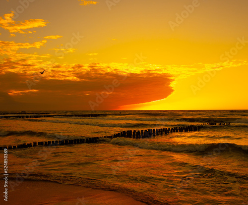 coast of the baltic sea with wooden breakwaters at sunset