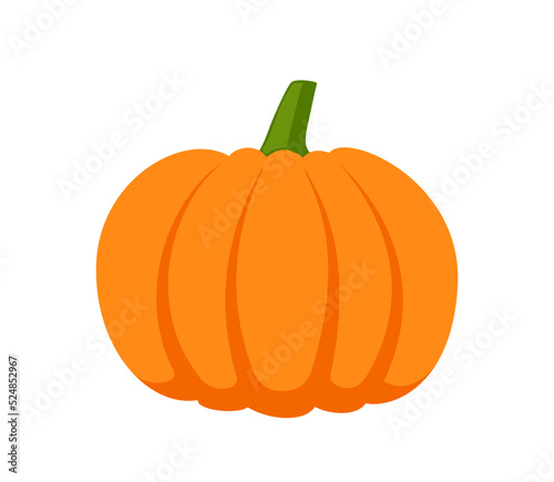 Fresh pumpkin on a white background. Harvesting for the winter. Autumn harvest. Vector illustration.