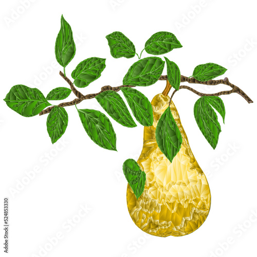 Branch  branch of pears with yellow ripe pear polygons on white  background watercolor vitage vector  illustration editable hand draw