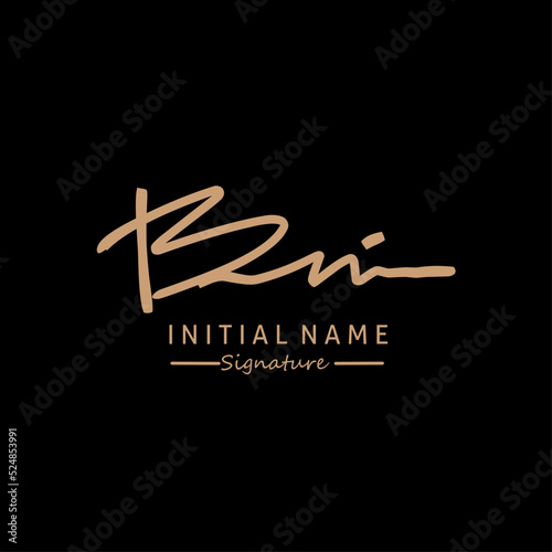 BN Initial letter handwriting and signature logo © ngab