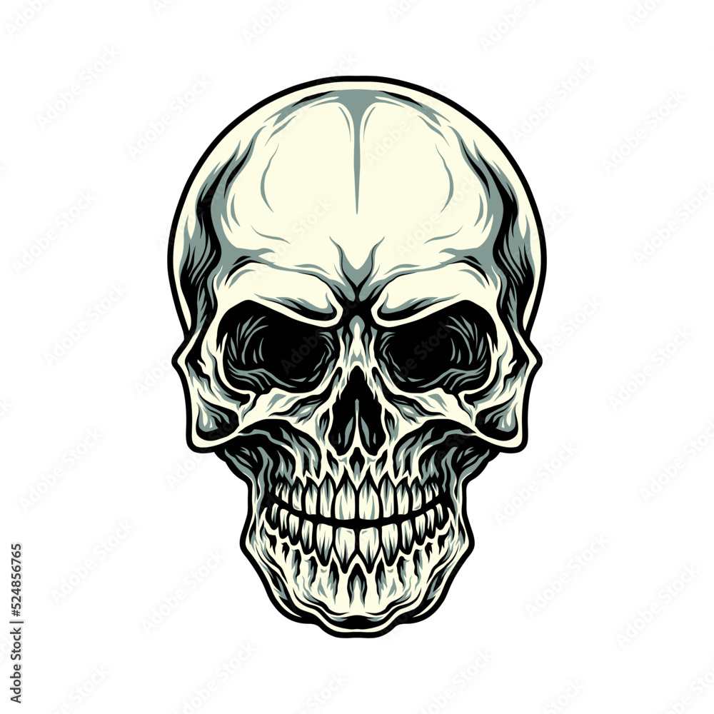 Illustration of skull, hand drawn line with digital color