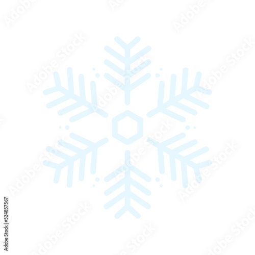 Vector beautiful snowflake design collection For the winter season that comes with Christmas in the New Year.