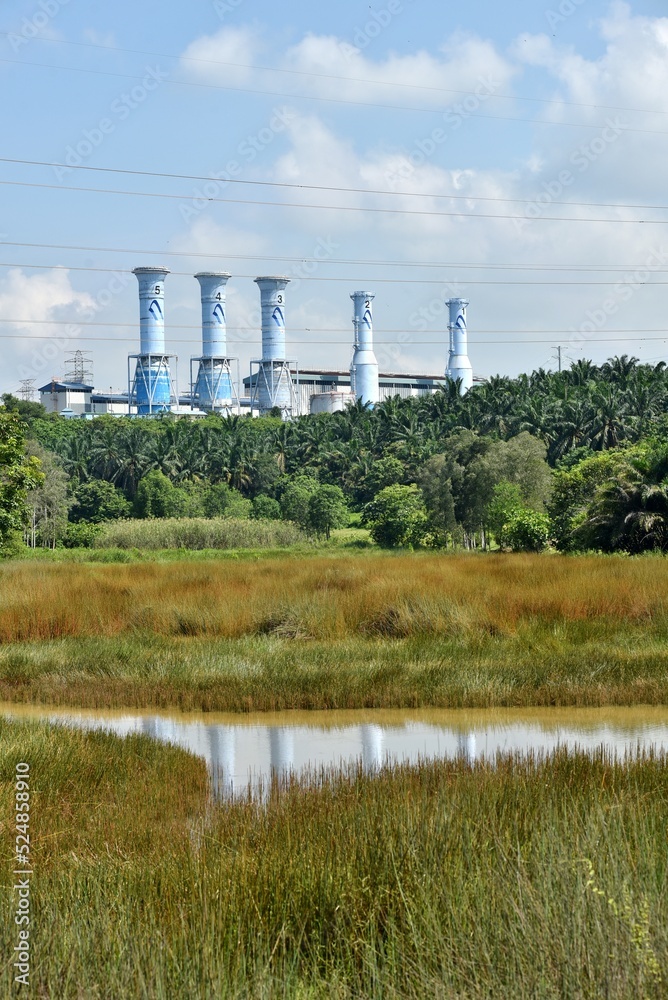 electric power station located near a wetland. image of power station chimney