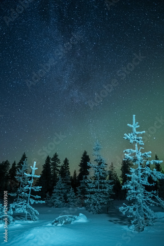 winter landscape with trees and milky way