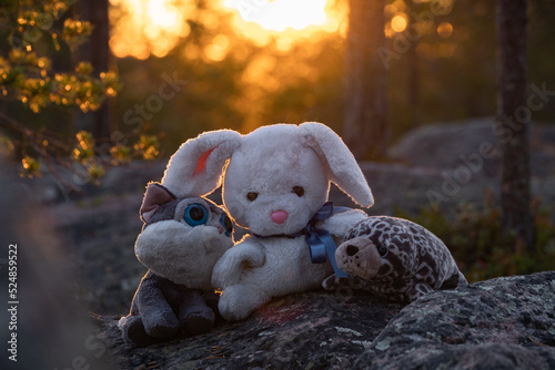 Plush Toys in Outdoors Backlit by Sunset