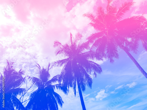 Fototapeta Naklejka Na Ścianę i Meble -  Coconut palm trees on summer colorful sky, beautiful tropical background with space, bottom view. Gradient colors with light blue, purple and pink.