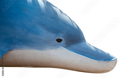 Dolphin head model. photo