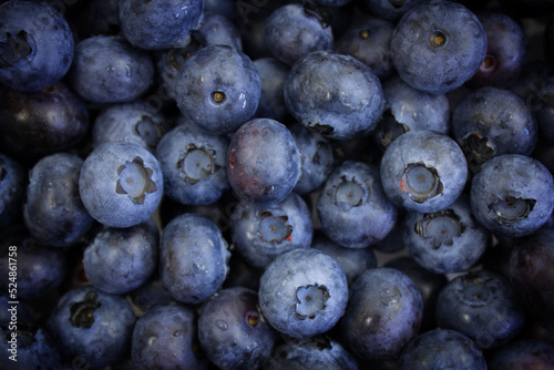 Blueberry background. Summer natural background. Natural antioxidants