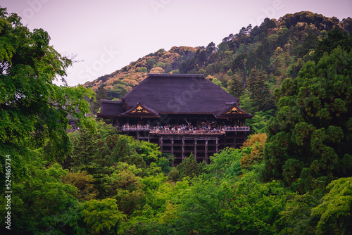 雨の清水寺 本堂