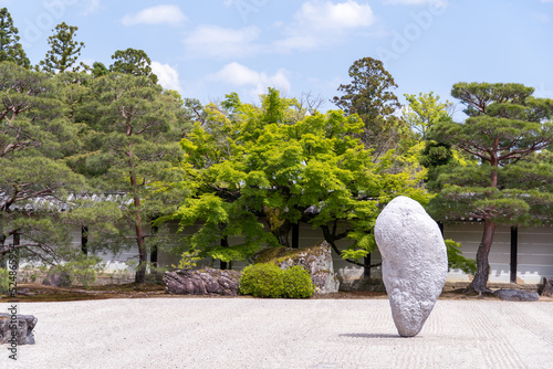 仁和寺 南庭に降り立った岩