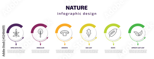 nature infographic template with icons and 6 step or option. nature icons such as sprig with five leaves, orbicular, amanita, oak leaf, ovate, apricot leaf leaf vector. can be used for banner, info