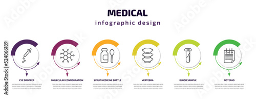 medical infographic template with icons and 6 step or option. medical icons such as eye dropper, molecular configuration, syrup medicine bottle, vertebra, blood sample, notepad vector. can be used